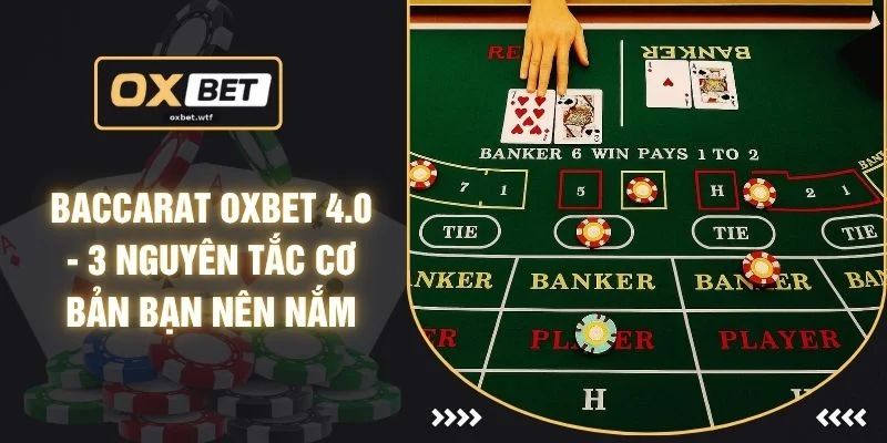 Baccarat OXBET 4.0 - 3 Nguyên Tắc Cơ Bản Bạn Nên Nắm