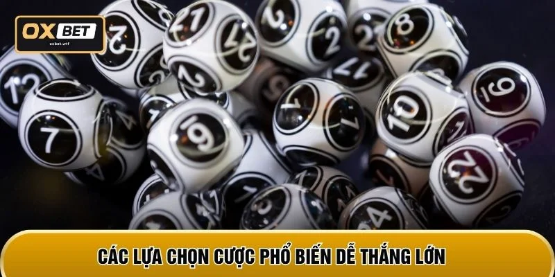 Các lựa chọn cược phổ biến dễ thắng lớn
