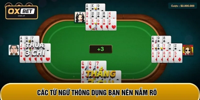 Các từ ngữ thông dụng bạn nên nắm rõ