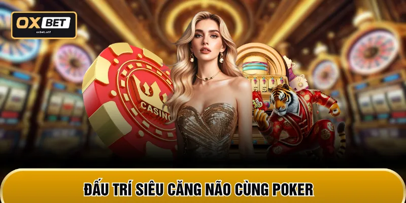 Đấu trí siêu căng não cùng Poker