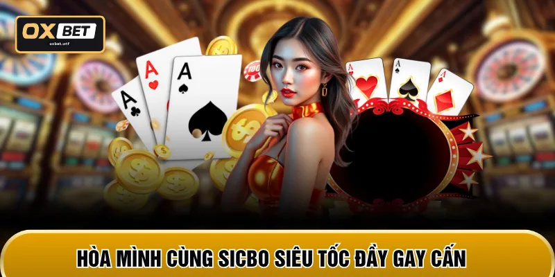Hòa mình cùng Sicbo siêu tốc đầy gay cấn