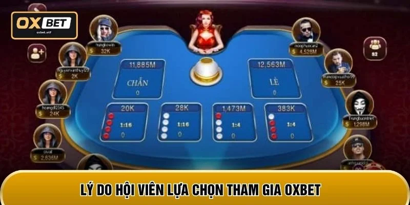 Lý do hội viên lựa chọn tham gia OXBET