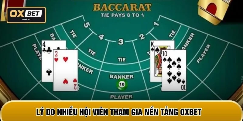 Lý do nhiều hội viên tham gia nền tảng OXBET