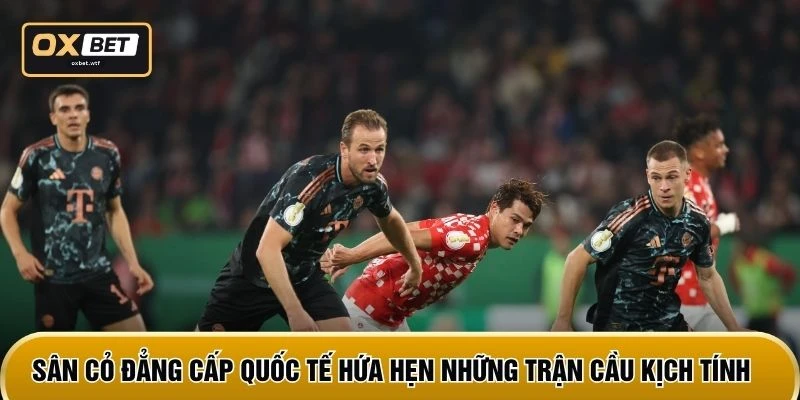 Sân cỏ đẳng cấp quốc tế hứa hẹn những trận cầu kịch tính
