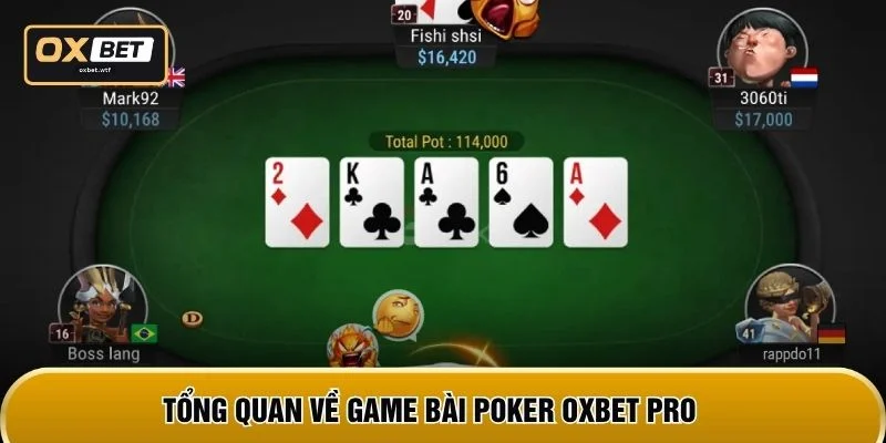 Tổng quan về game bài Poker OXBET Pro